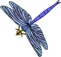 dragonfly