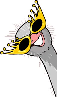 ostrich with sunglasses